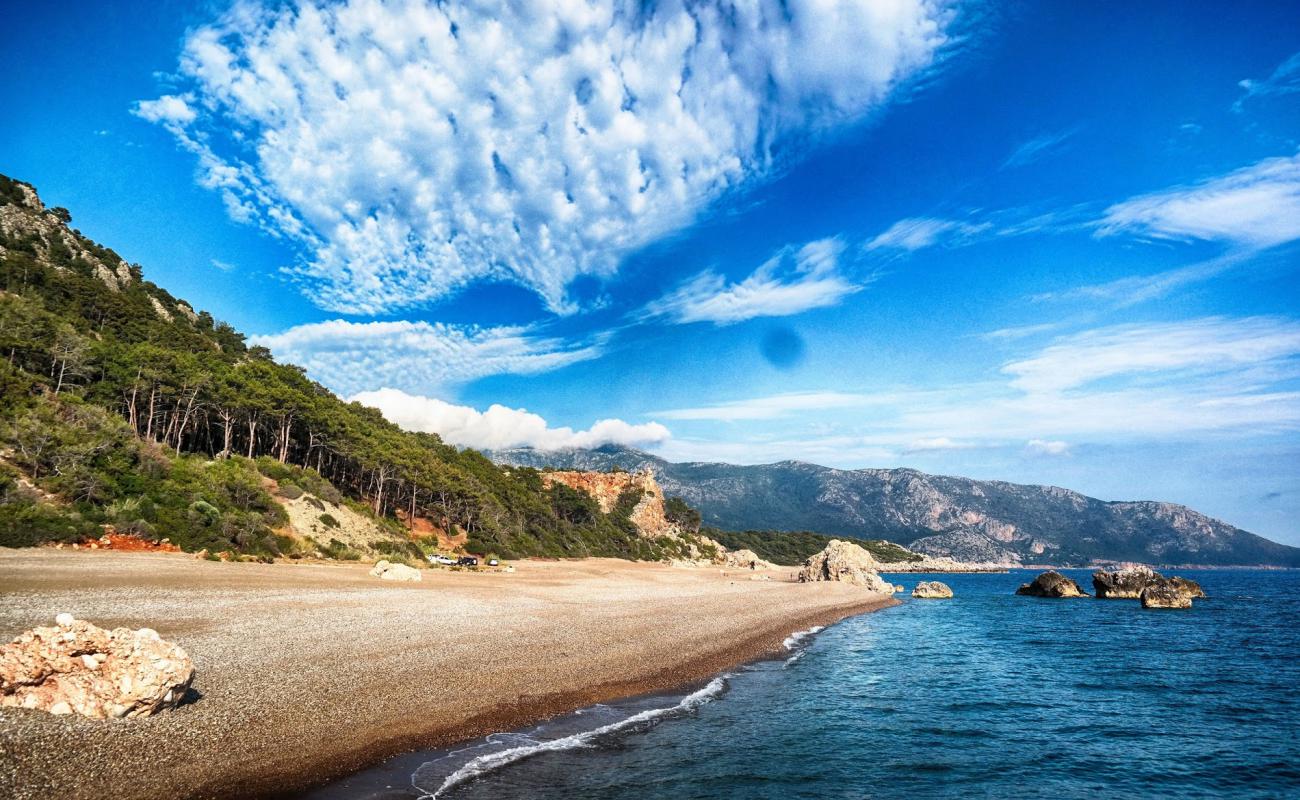 Mavikent Plajı'in fotoğrafı siyah kum ve çakıllar yüzey ile