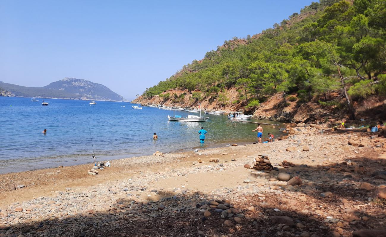 Fisherman's Bay'in fotoğrafı siyah kum ve çakıl yüzey ile