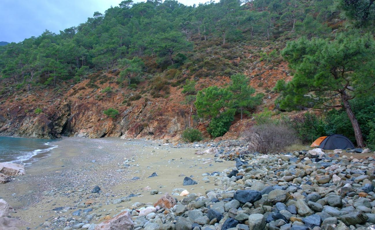 Akseki Koyu Adrasan II'in fotoğrafı bej kum ve çakıl yüzey ile