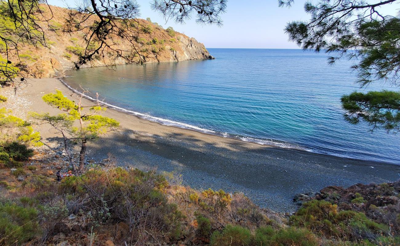 Maden Koyu Beach II'in fotoğrafı kahverengi çakıl yüzey ile