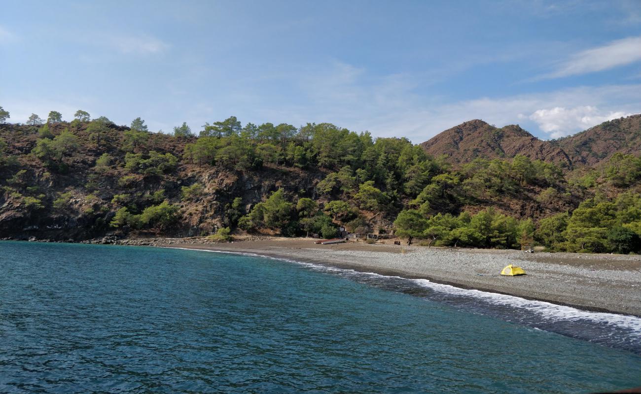 Maden Koyu Beach'in fotoğrafı siyah kum ve çakıl yüzey ile