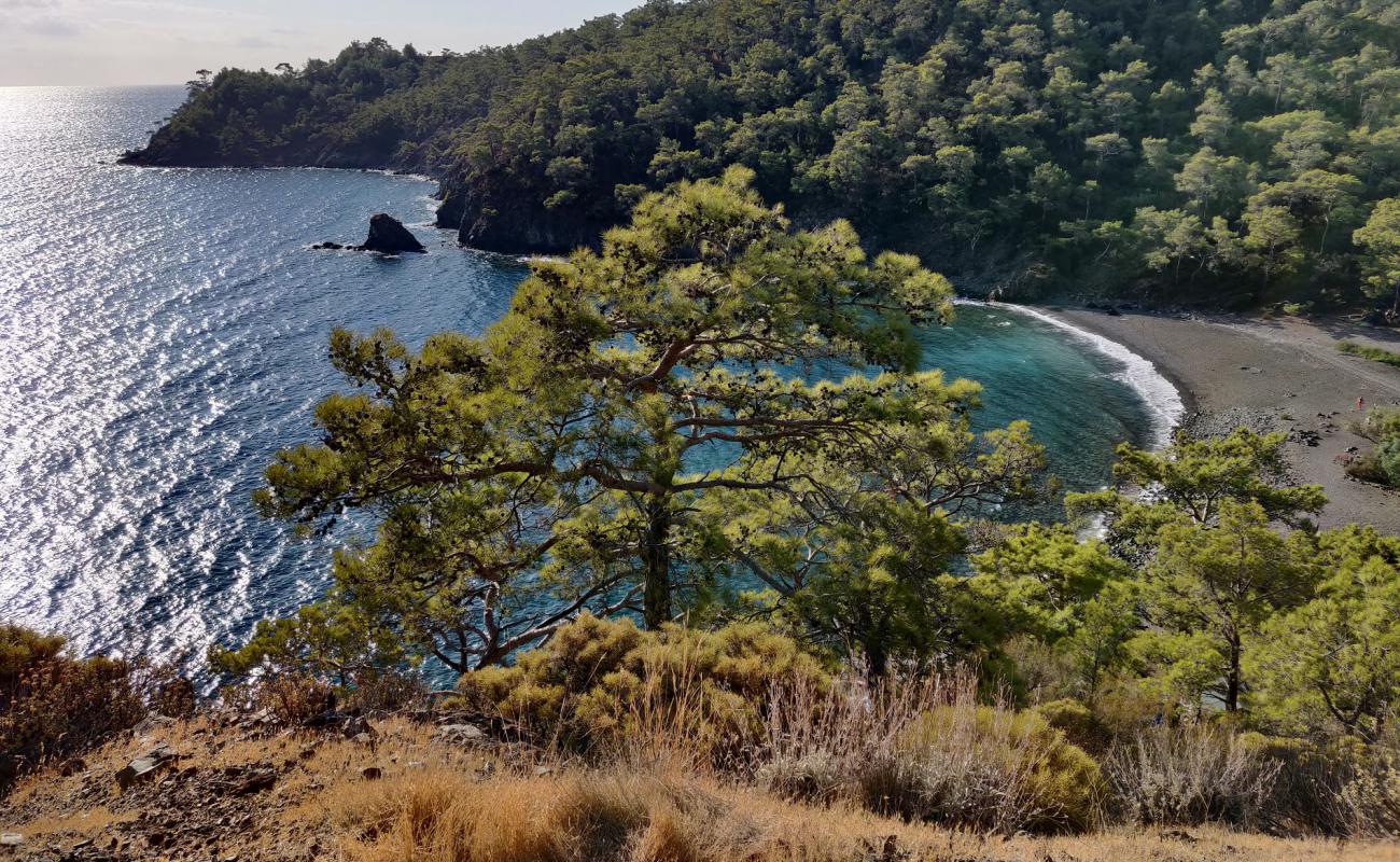 Beycik Buku'in fotoğrafı gri ince çakıl taş yüzey ile