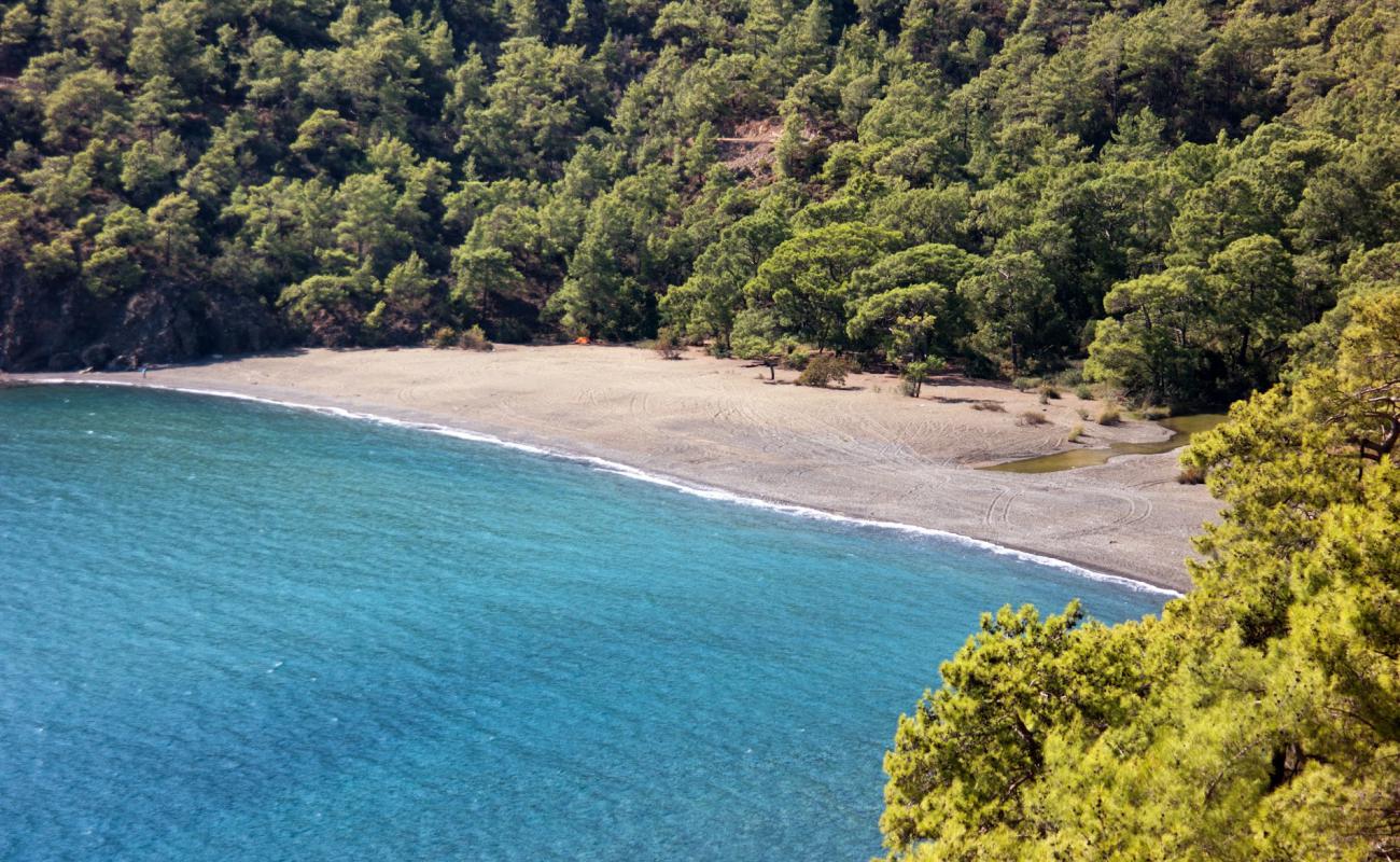 Tekirova Beach'in fotoğrafı siyah kum ve çakıl yüzey ile