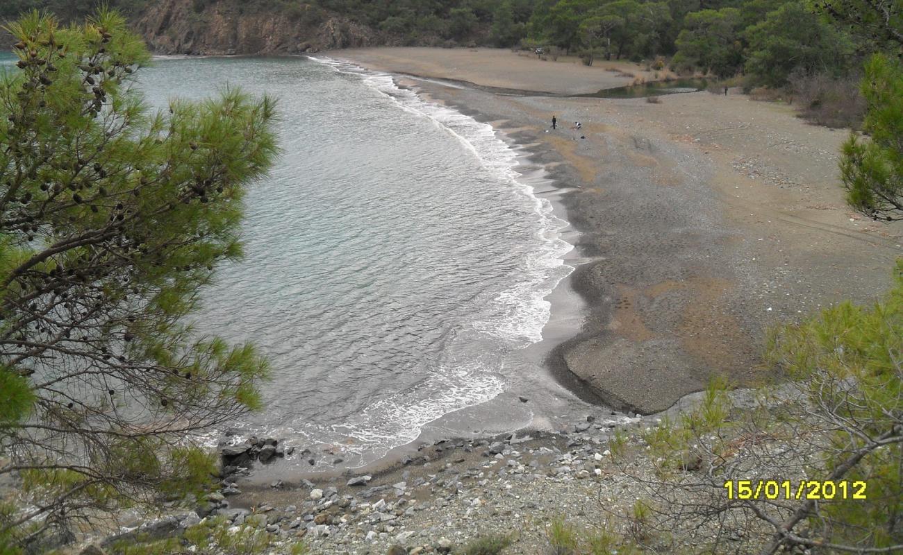 Tekirova Beach II'in fotoğrafı siyah kum ve çakıllar yüzey ile