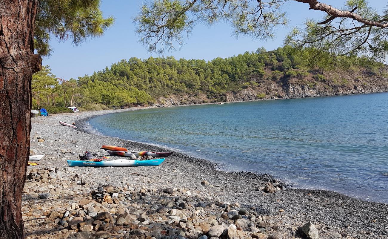 Kloepatra Koyu'in fotoğrafı gri çakıl taşı yüzey ile