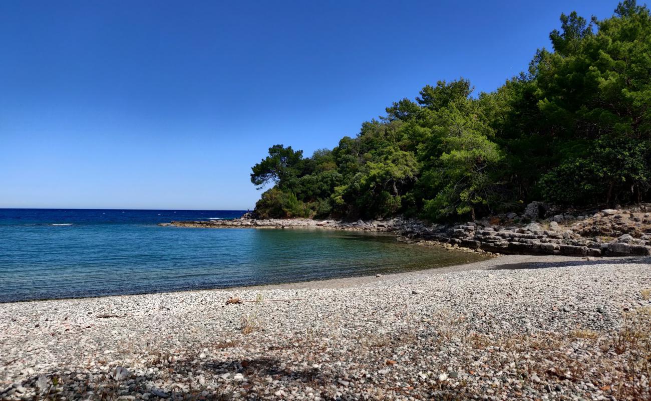 Phaselis beach'in fotoğrafı siyah kum ve çakıl yüzey ile