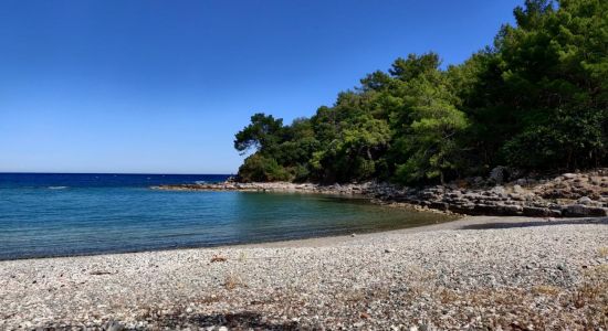 Phaselis beach