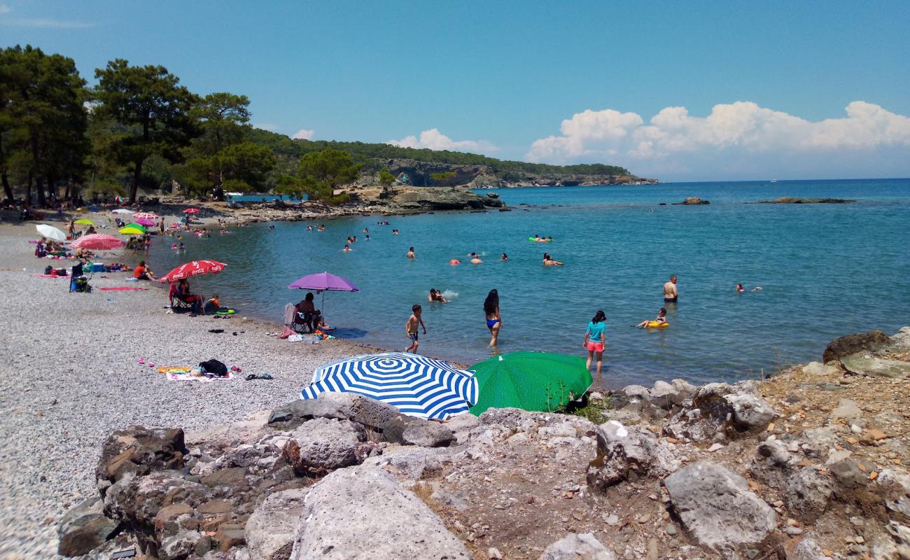 Phaselis Small Beach'in fotoğrafı hafif çakıl yüzey ile