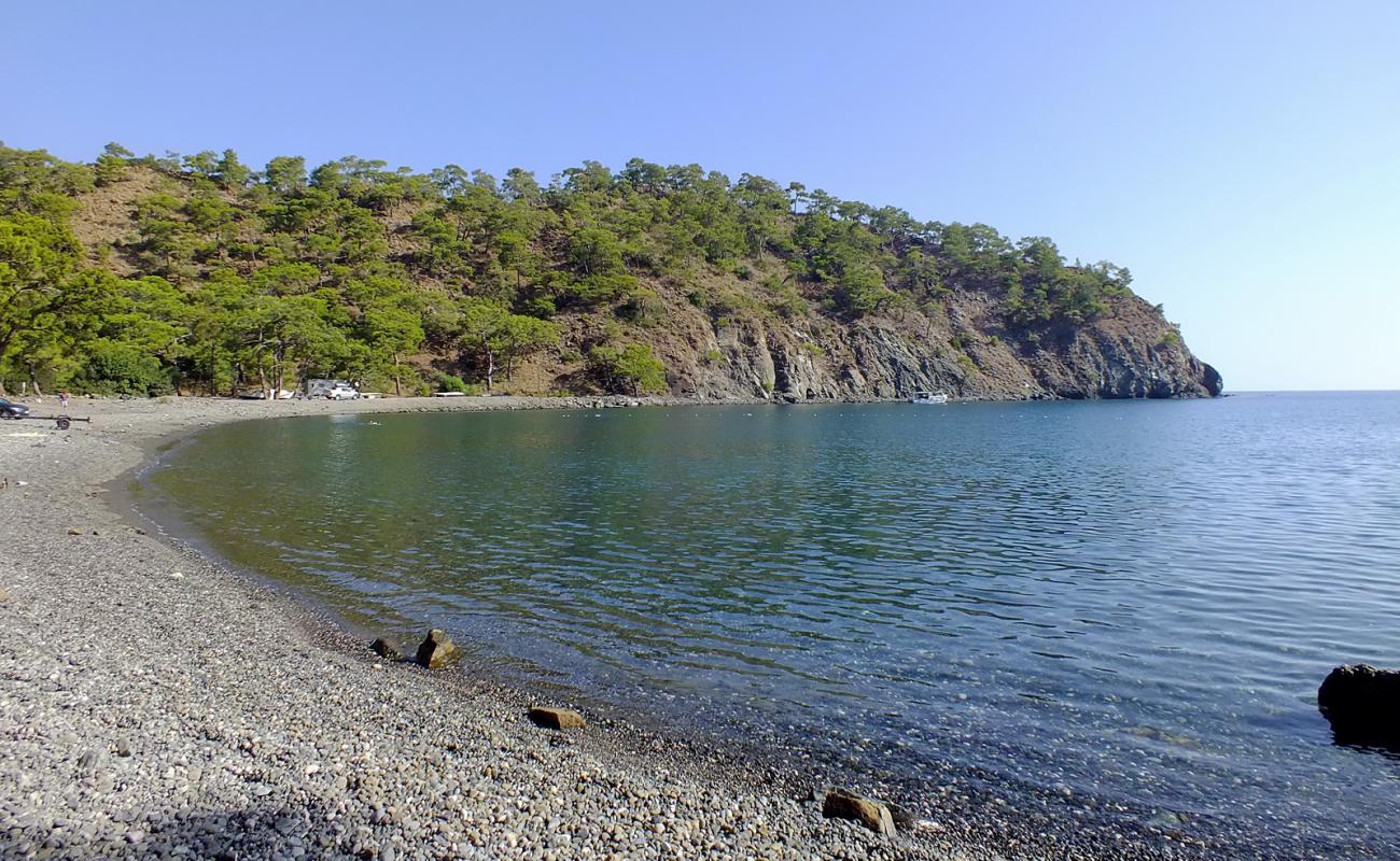 Little White Bay II'in fotoğrafı hafif çakıl yüzey ile