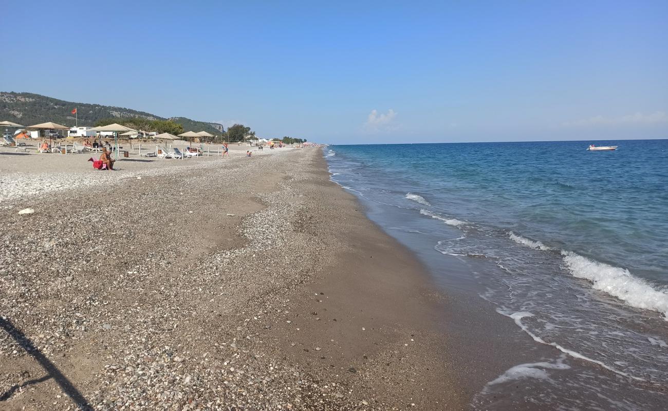 Camyuva Plajı'in fotoğrafı koyu i̇nce çakıl yüzey ile