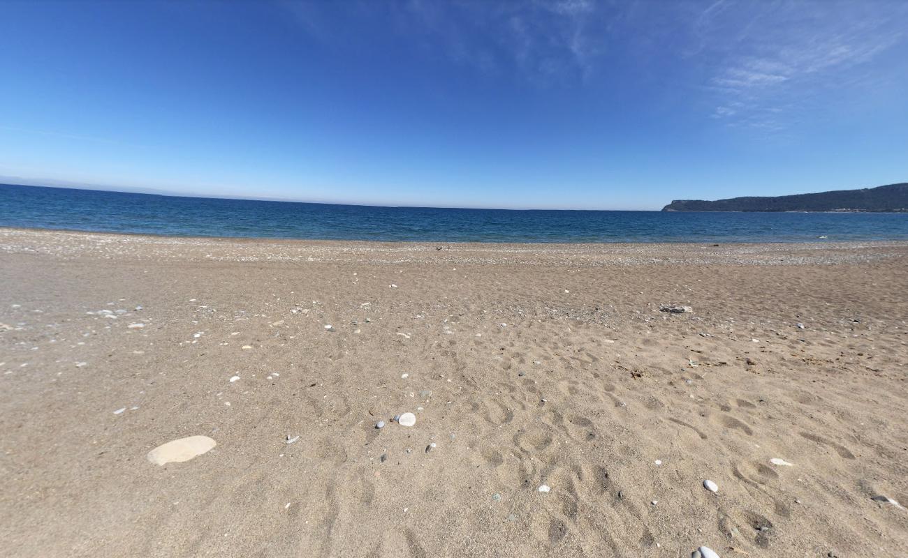 Kemer Halk Plajı III'in fotoğrafı imkanlar alanı