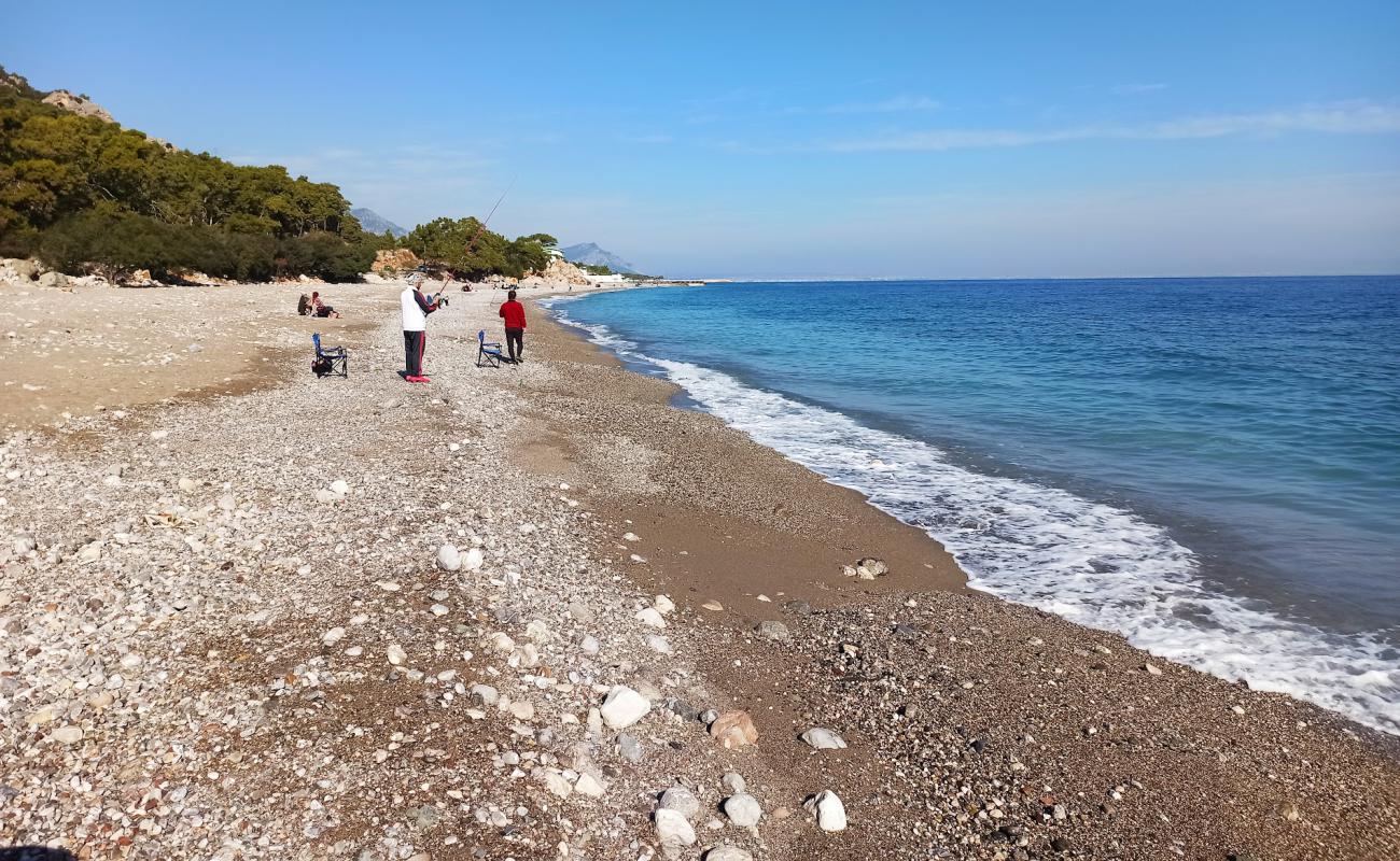 Goynuk Beach'in fotoğrafı çakıl ile kum yüzey ile