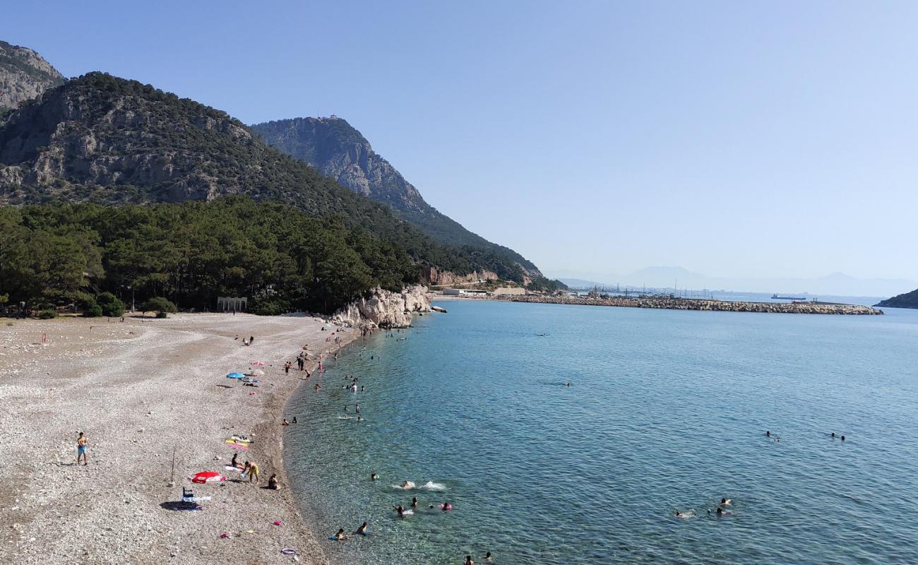 Little Caltıcak'in fotoğrafı hafif ince çakıl taş yüzey ile