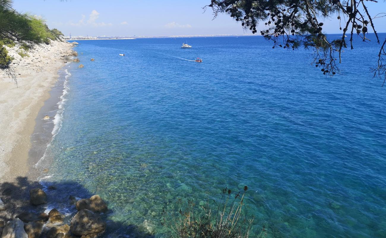 Sevis koyu'in fotoğrafı bej çakıl yüzey ile