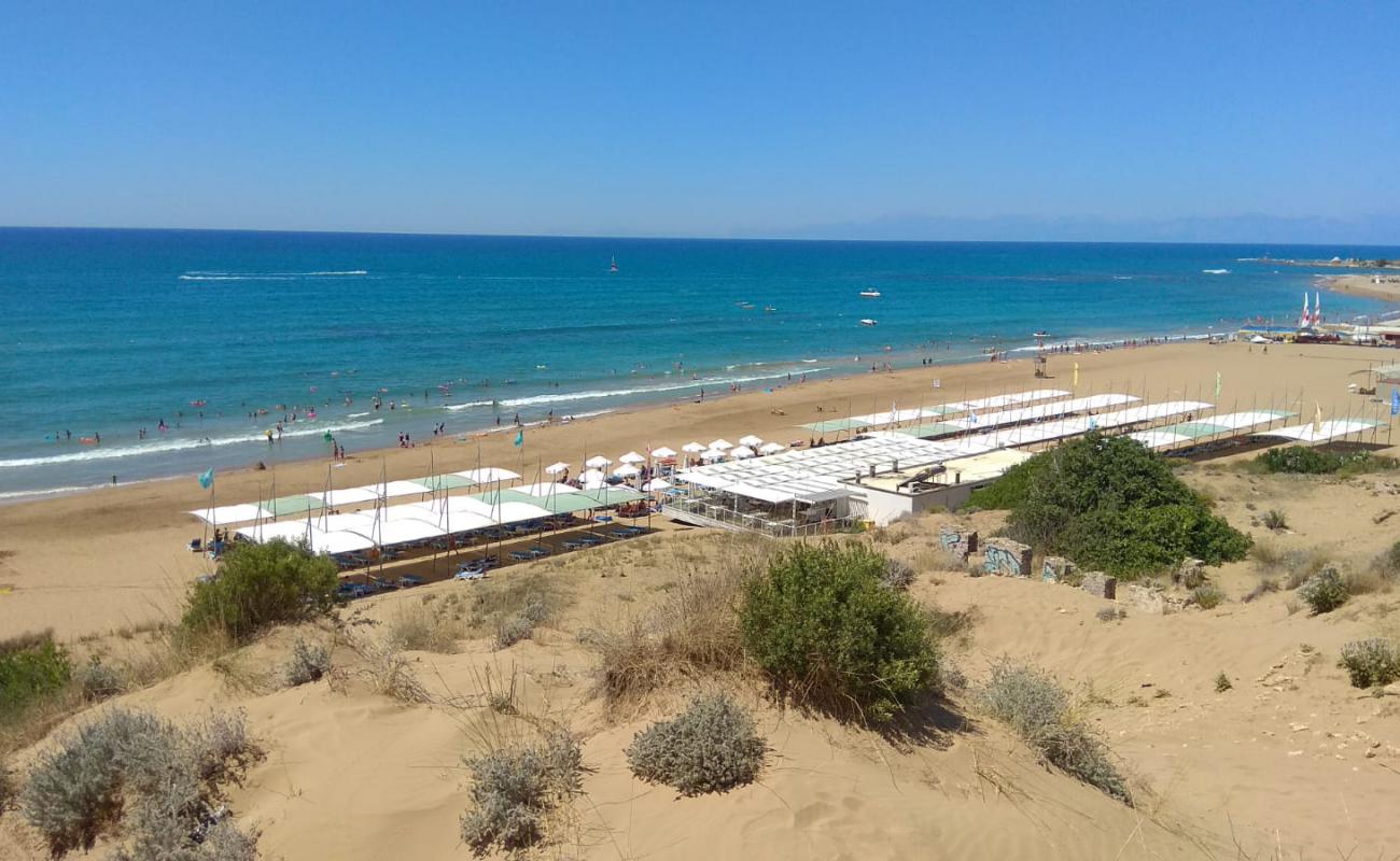Terrace Resort beach'in fotoğrafı kahverengi kum yüzey ile