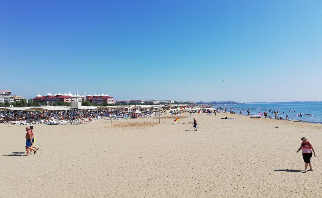 Kumkoy beach'in fotoğrafı i̇nce kahverengi kum yüzey ile