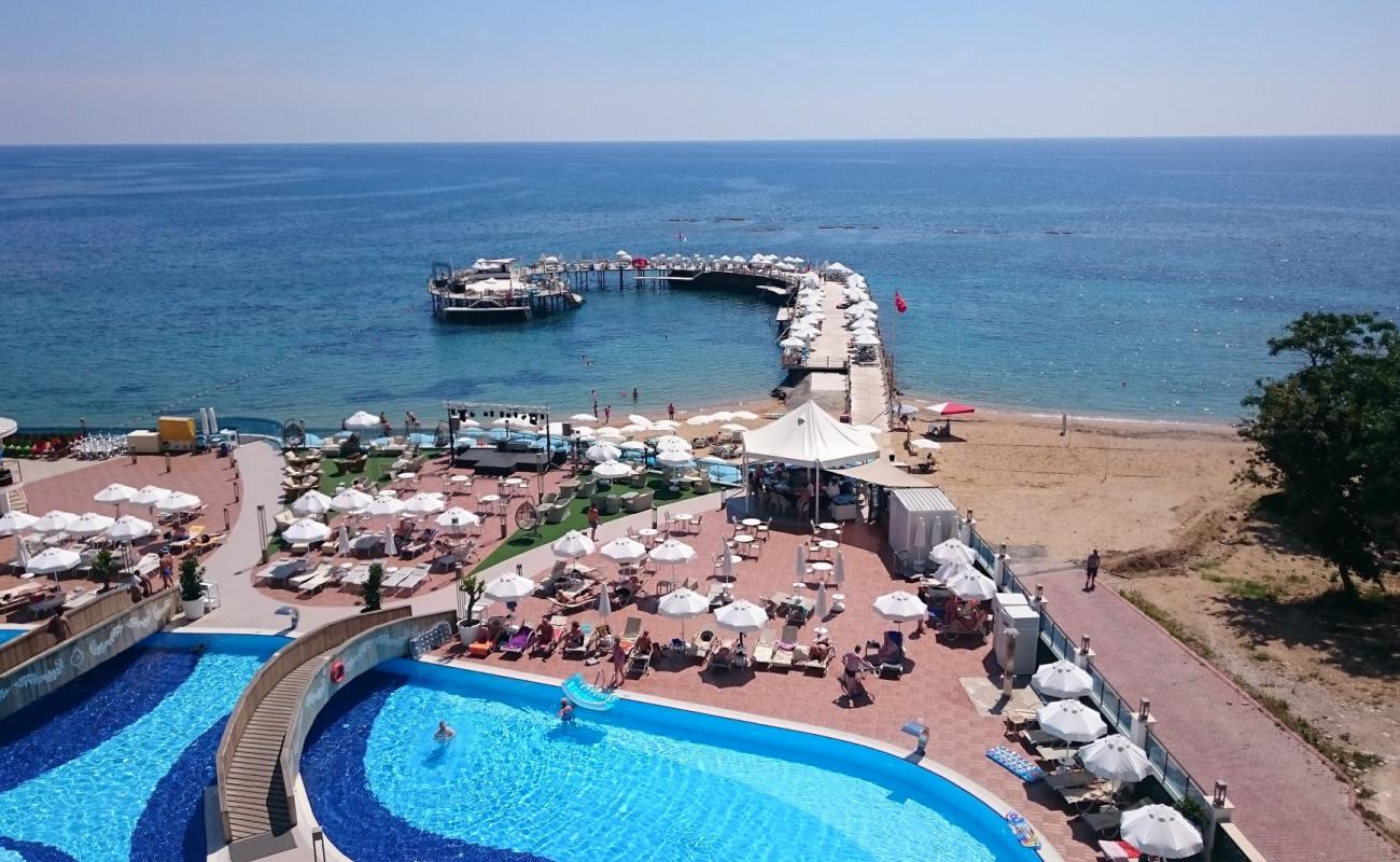 Avsallar beach II'in fotoğrafı kahverengi kum yüzey ile