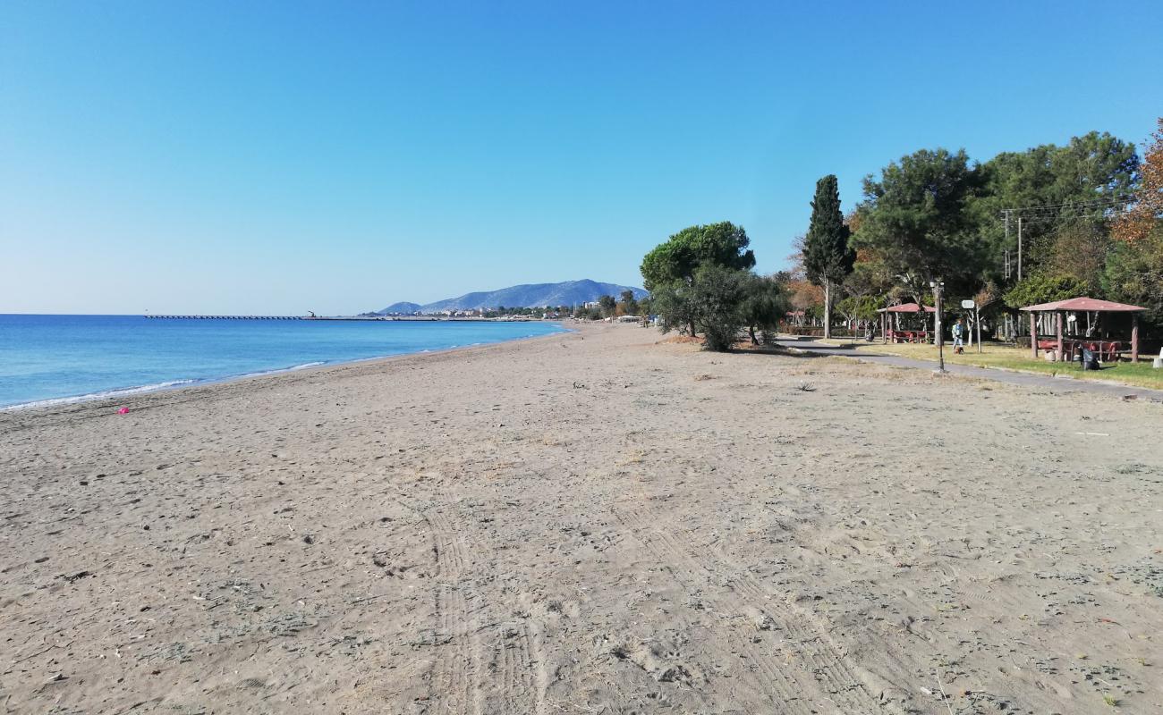 Anamur beach'in fotoğrafı kahverengi kum yüzey ile