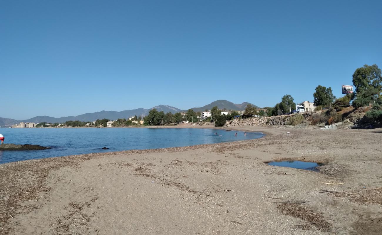 Bozdogan beach'in fotoğrafı kahverengi kum yüzey ile