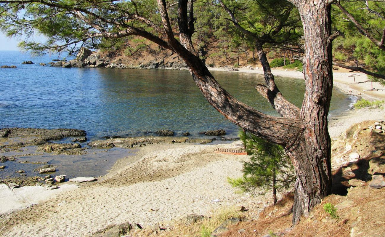 Pullu beach'in fotoğrafı çakıl ile kum yüzey ile