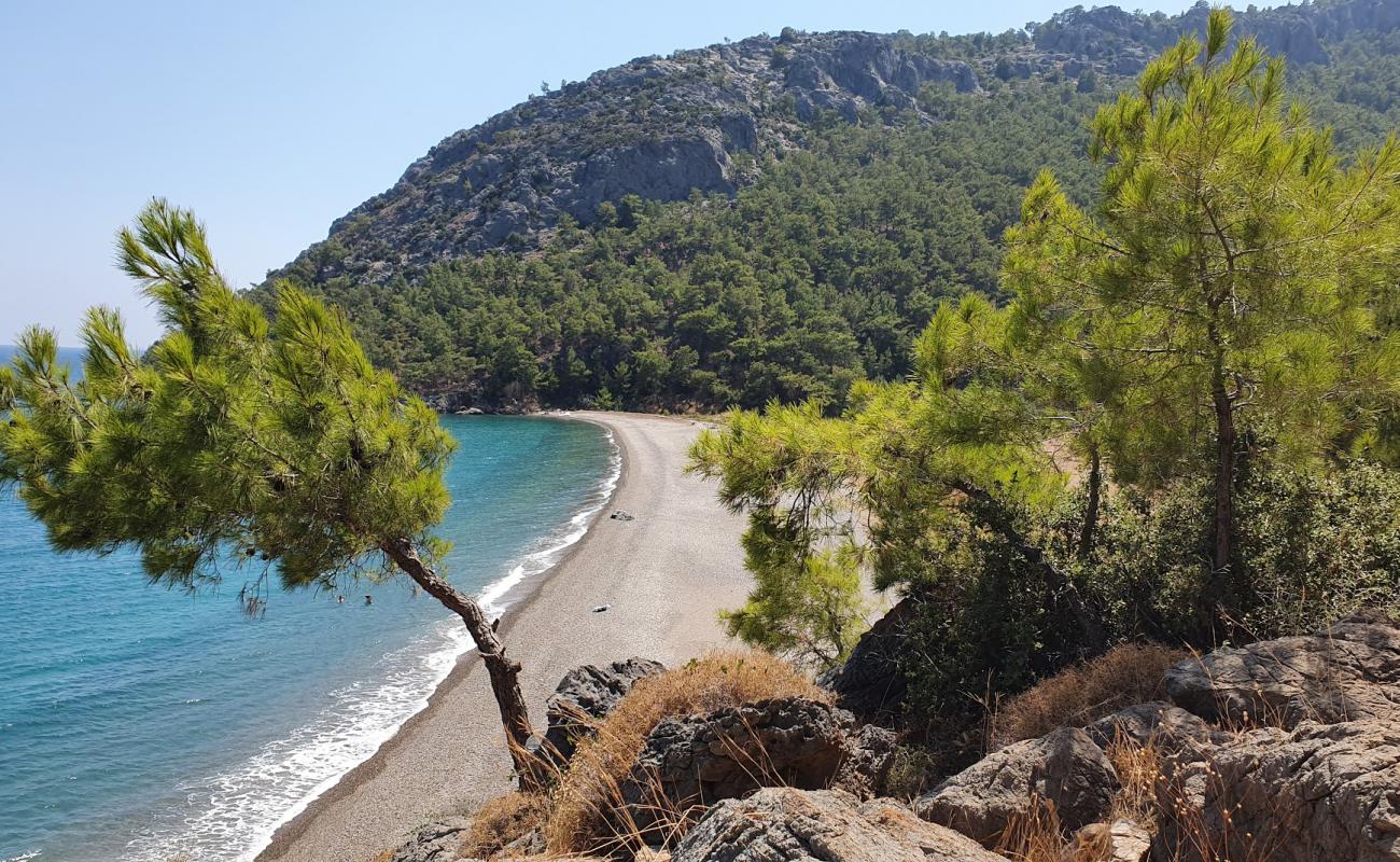 Prince Charles Bay'in fotoğrafı hafif çakıl yüzey ile