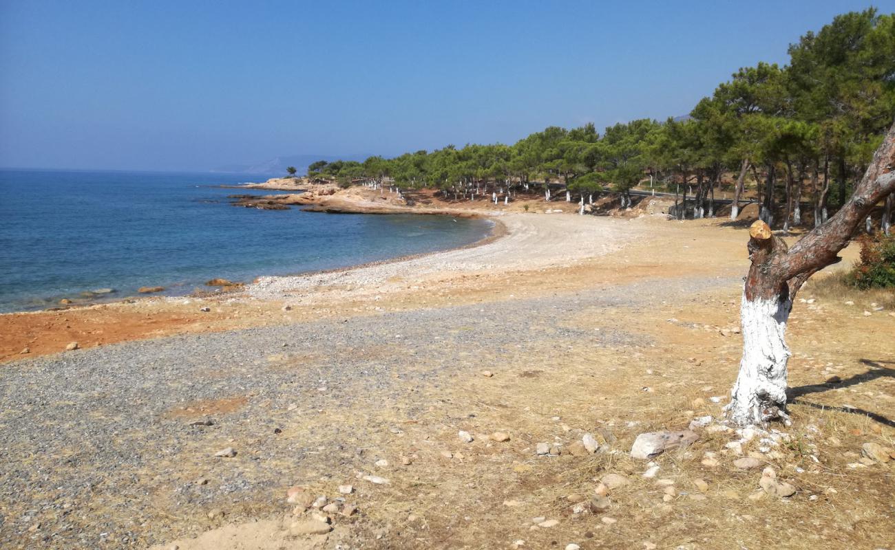 Yesilovacik beach'in fotoğrafı hafif çakıl yüzey ile