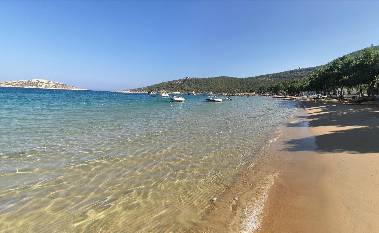 Bogsak beach II'in fotoğrafı uçurumlarla desteklenmiş