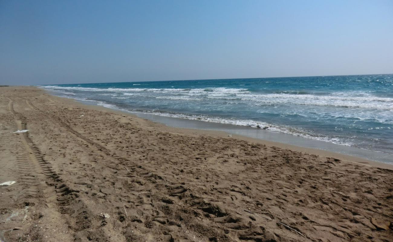 Tasucu beach II'in fotoğrafı parlak kum yüzey ile