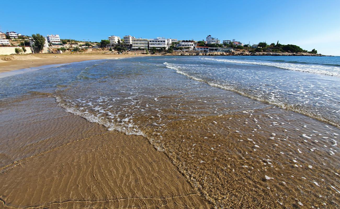 Akkum beach'in fotoğrafı açık bej kum yüzey ile