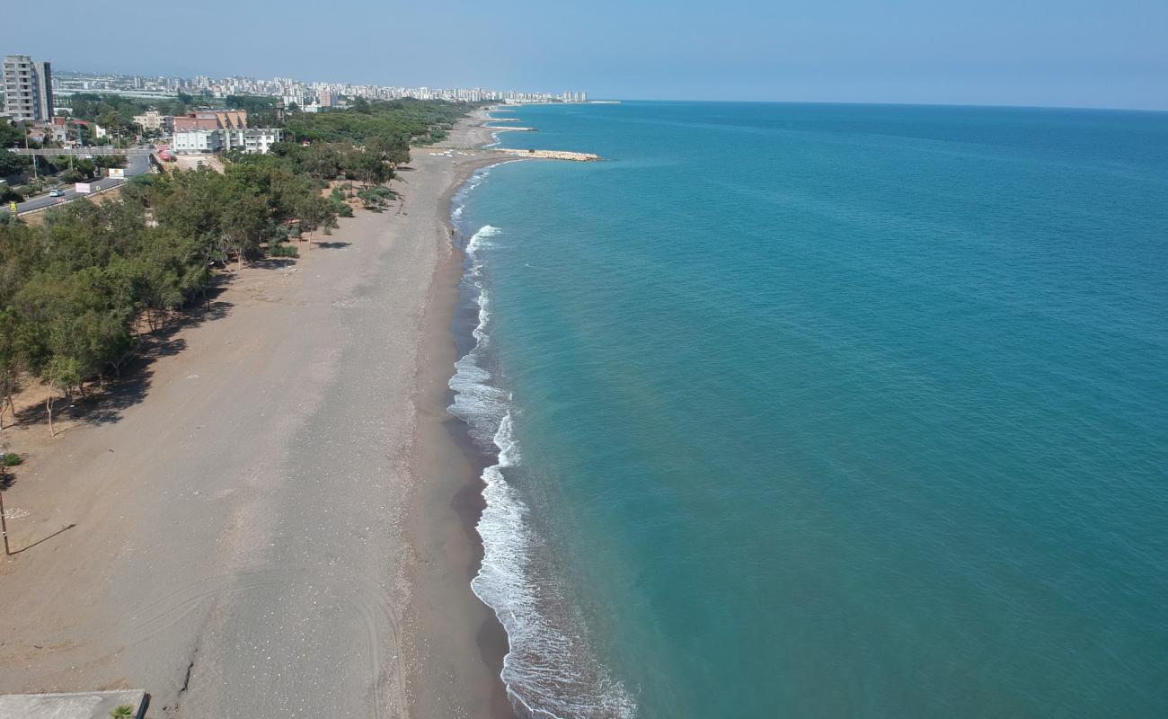 KocaHasanlı Plajı'in fotoğrafı parlak kum yüzey ile