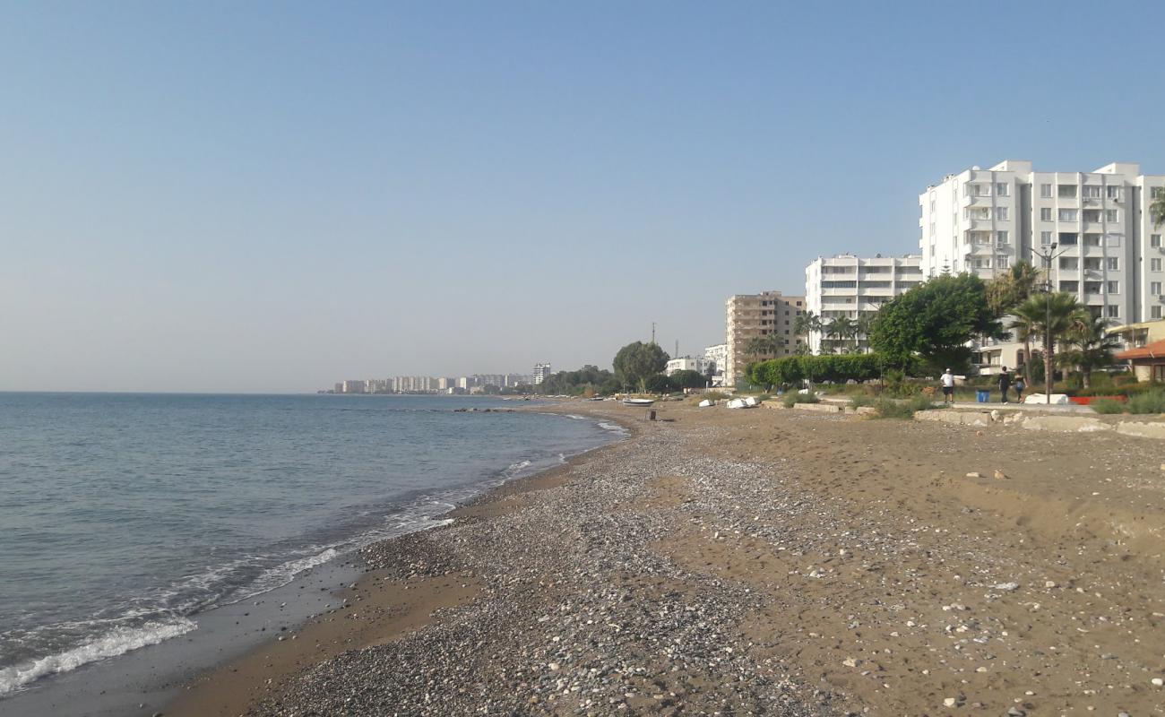 Tece Sahil beach'in fotoğrafı parlak kum yüzey ile