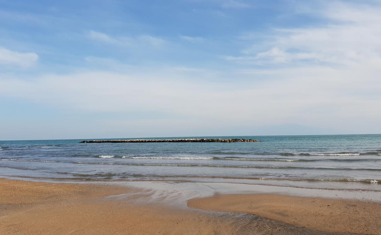 Ormanalti beach'in fotoğrafı açık bej kum yüzey ile