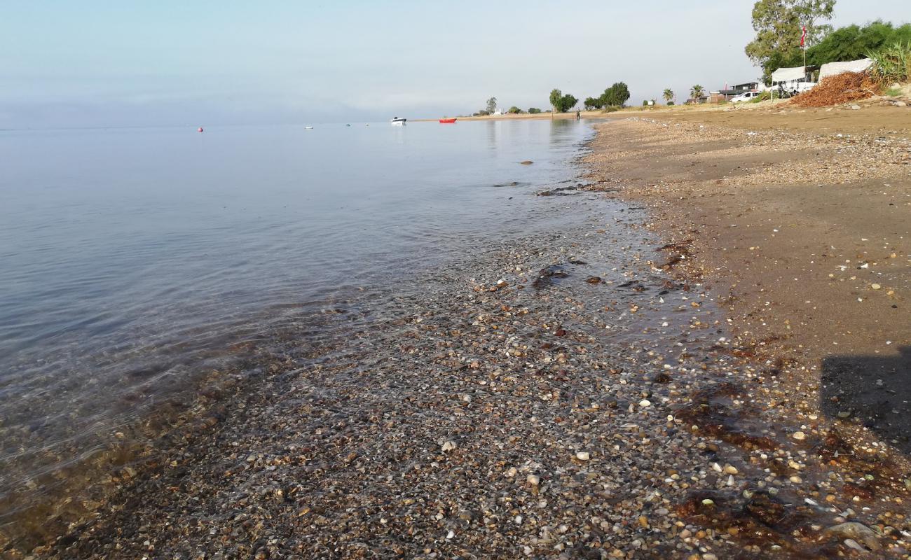 Cukurova beach'in fotoğrafı açık bej kum yüzey ile