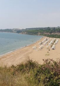 Golovasi