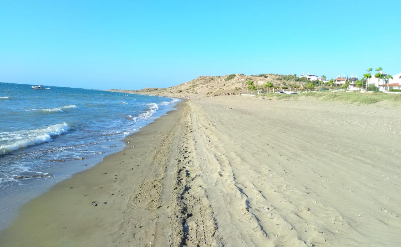 Arsuz beach'in fotoğrafı parlak kum yüzey ile