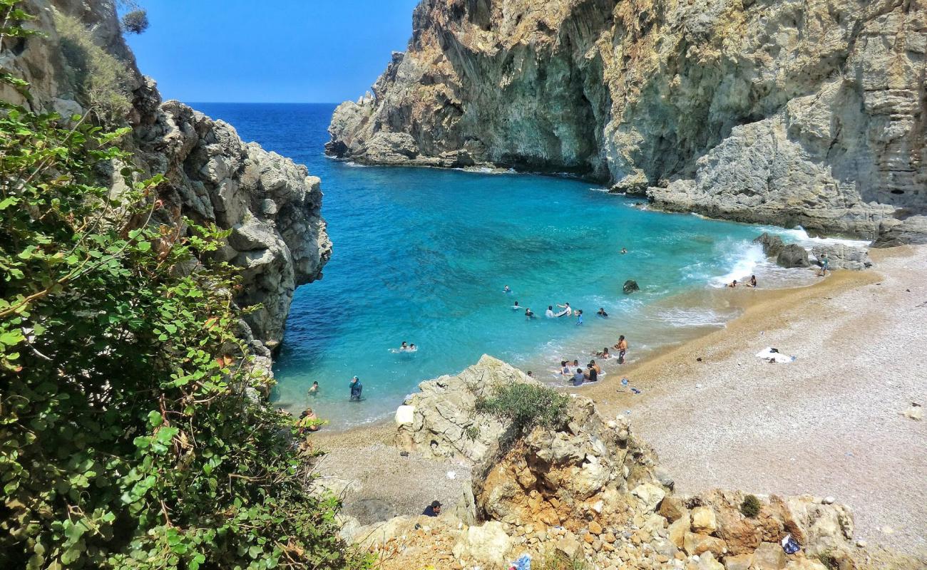 Merve beach'in fotoğrafı vahşi alan