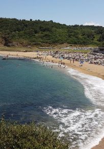 Demircikoy