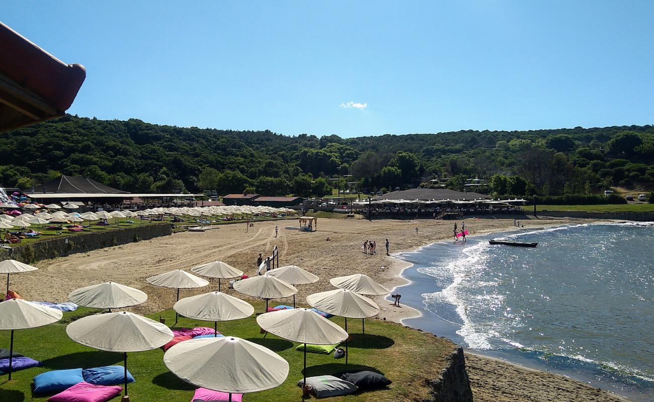 Uzunya beach'in fotoğrafı parlak kum yüzey ile