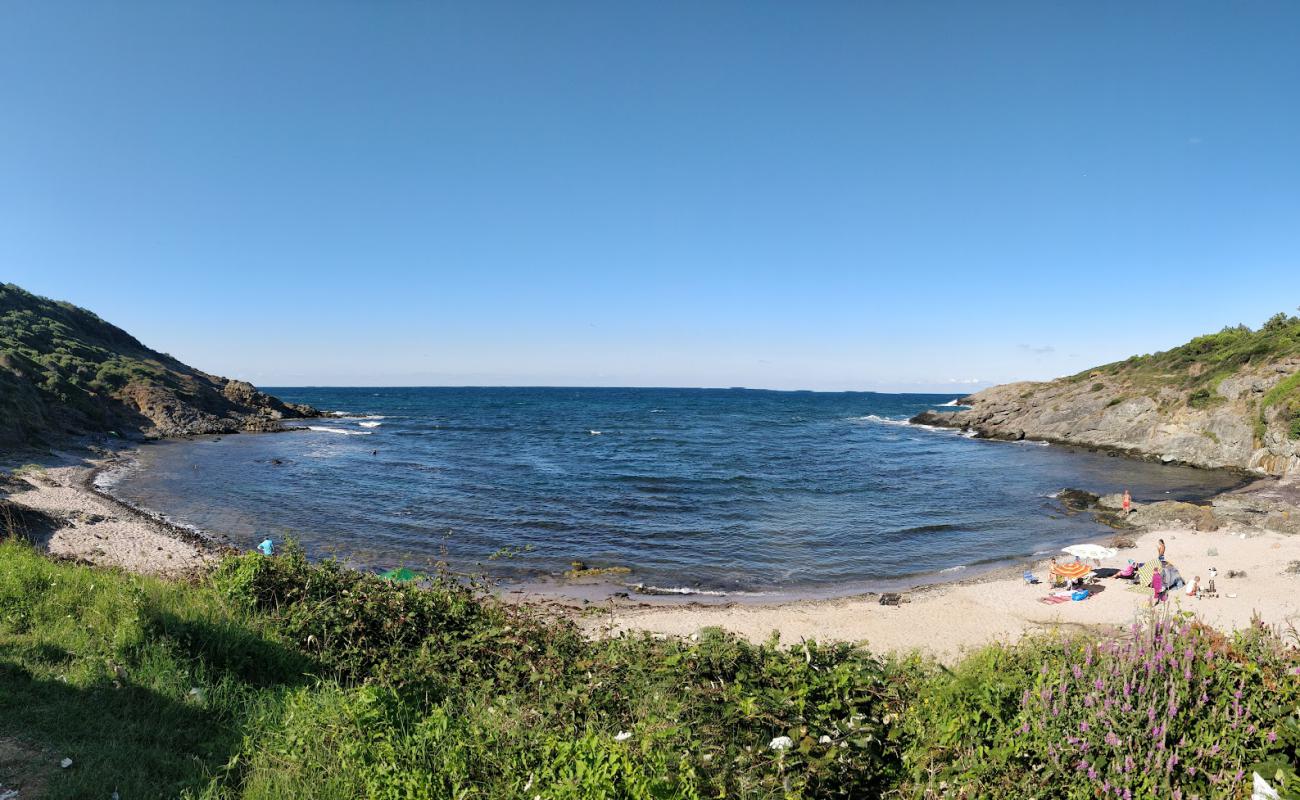 Sebastian beach'in fotoğrafı parlak kum yüzey ile