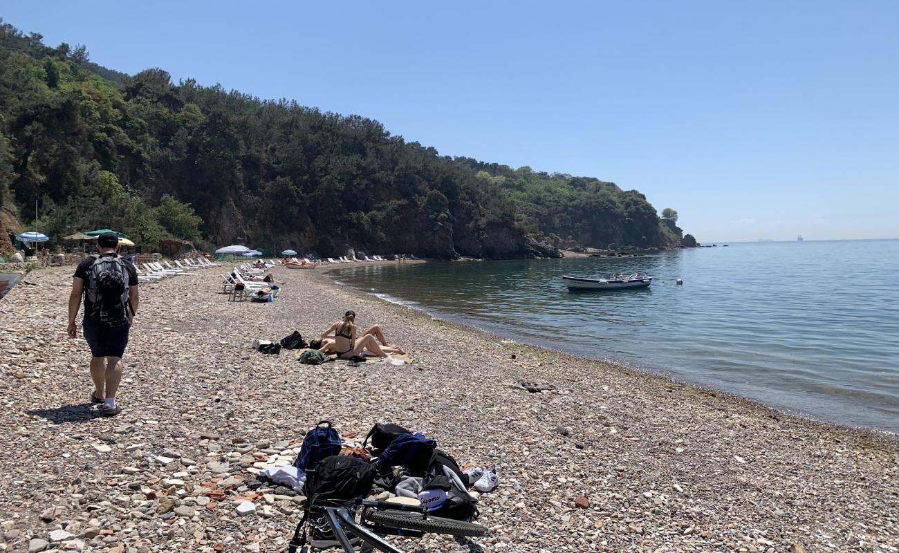 Madam Marta Koyu Beach'in fotoğrafı bej çakıl yüzey ile