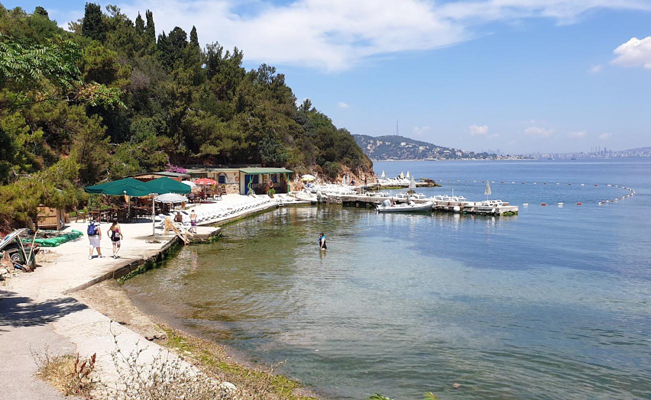 Mimi koy Beach'in fotoğrafı beton kapak yüzey ile