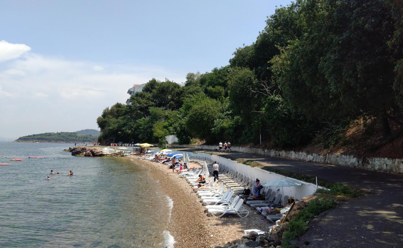 Camakya Aile Plaji'in fotoğrafı gri çakıl taşı yüzey ile