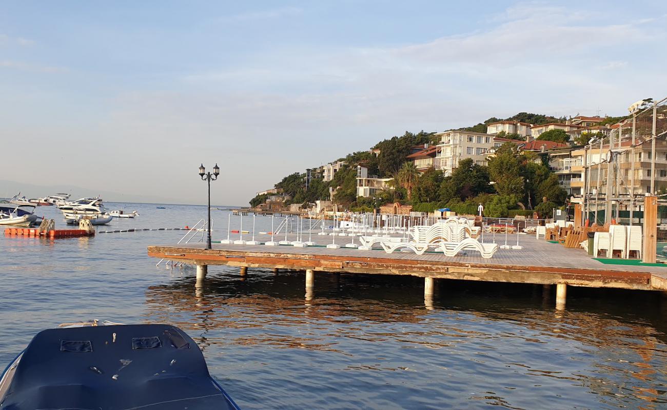 Burgazada Deniz Klubu Beach'in fotoğrafı beton kaplı yüzey yüzey ile