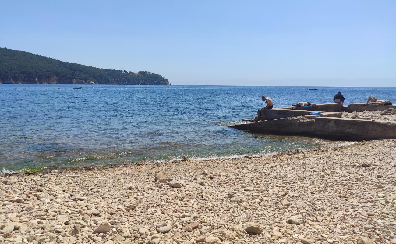 Burgazada Halk Plaji'in fotoğrafı gri çakıl taşı yüzey ile