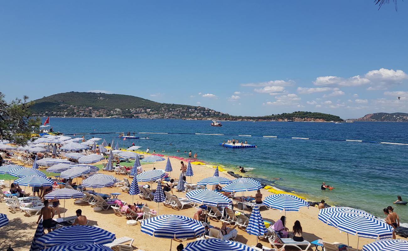 Asaf Aile Plaji'in fotoğrafı gri kum yüzey ile