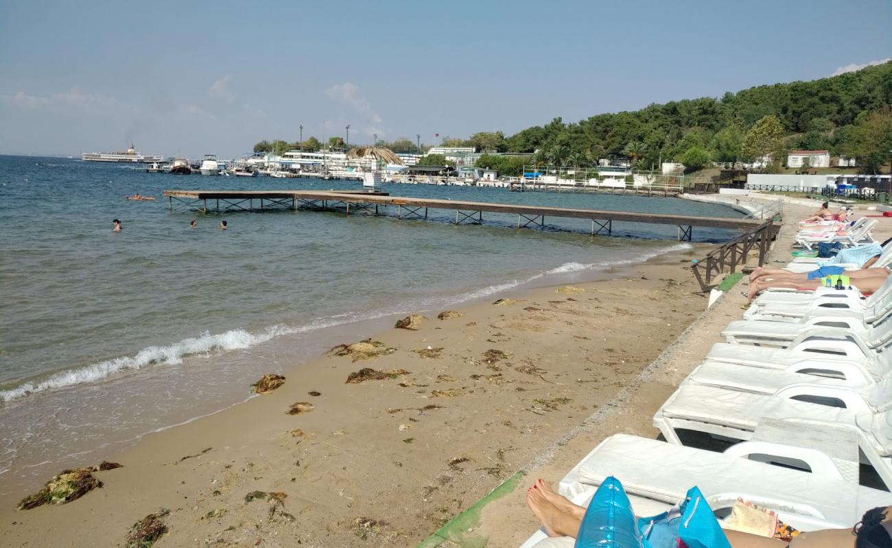 Aqua Green Beach Heybeliada'in fotoğrafı açık bej kum yüzey ile
