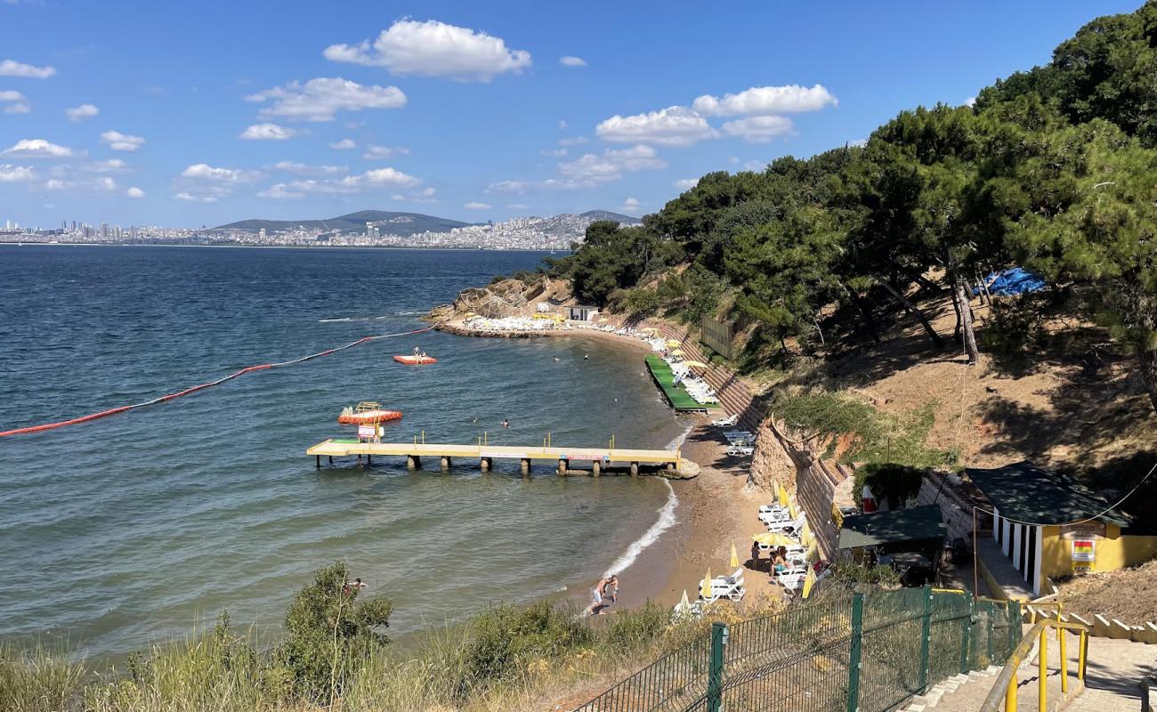 Degirmenburnu Plaji'in fotoğrafı açık bej kum yüzey ile