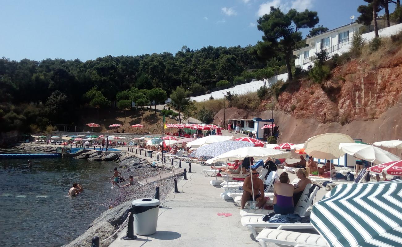 Heybeliada Beach'in fotoğrafı beton kaplı yüzey yüzey ile