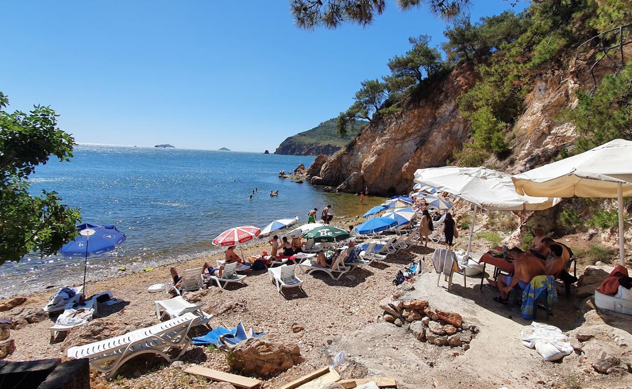 Alman plaji'in fotoğrafı bej çakıl yüzey ile