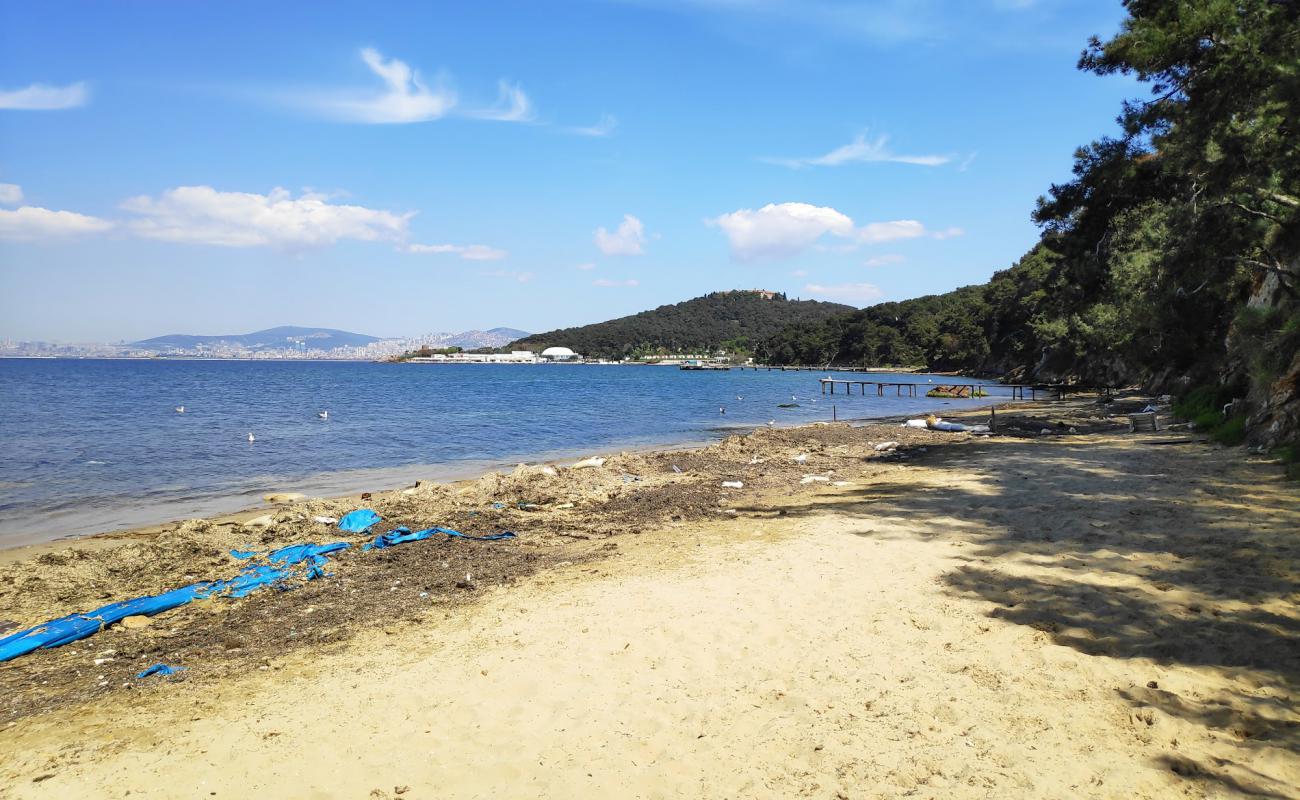 Kablo Blue Beach & Camping'in fotoğrafı parlak kum yüzey ile